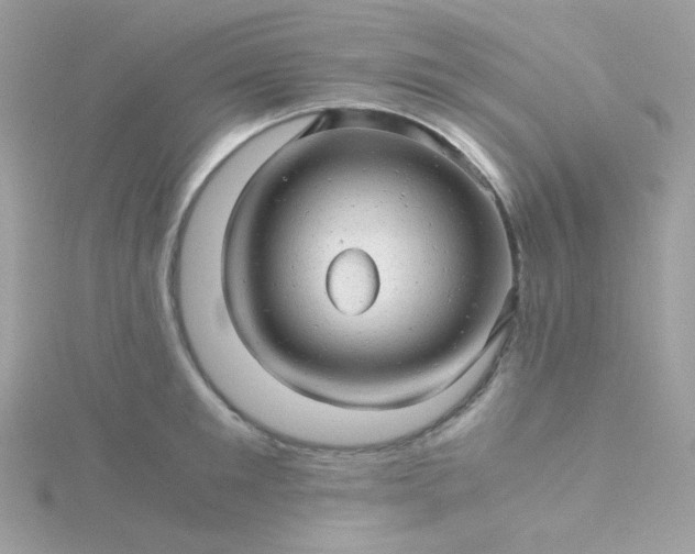 X0000115820901200911271135