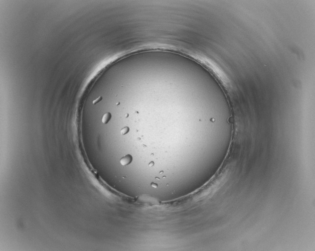 X0000115820902200911271135