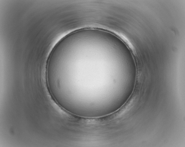 X0000115820903200911271135