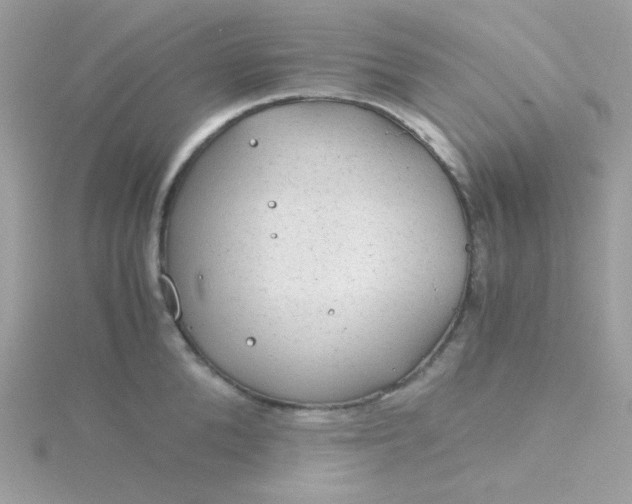 X0000115820904200911271135