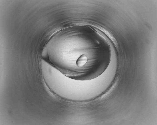 X0000115820905200911271135