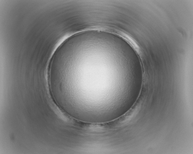 X0000115820907200911271135