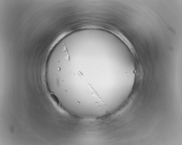 X0000115820909200911271134