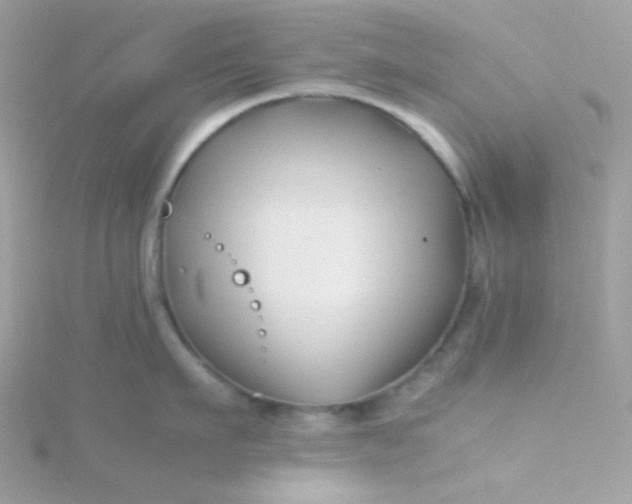 X0000115820911200911271134