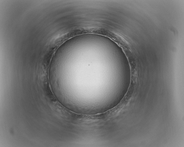 X0000115820917200911271134