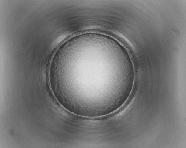 X0000115820921200911271134