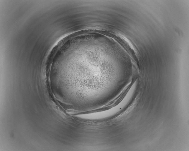 X0000115820923200911271134