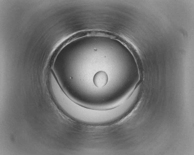 X0000115820925200911271134