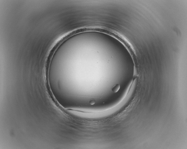 X0000115820935200911271134