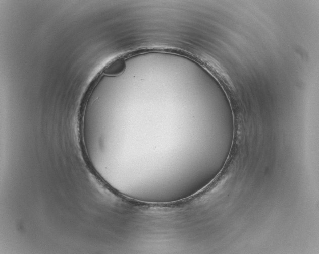 X0000115820942200911271134