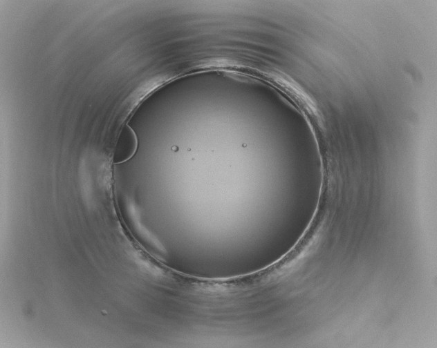 X0000115820945200911271134