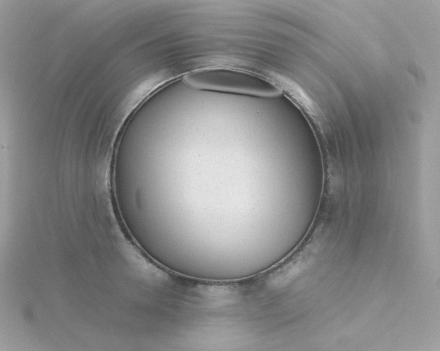 X0000115820946200911271134