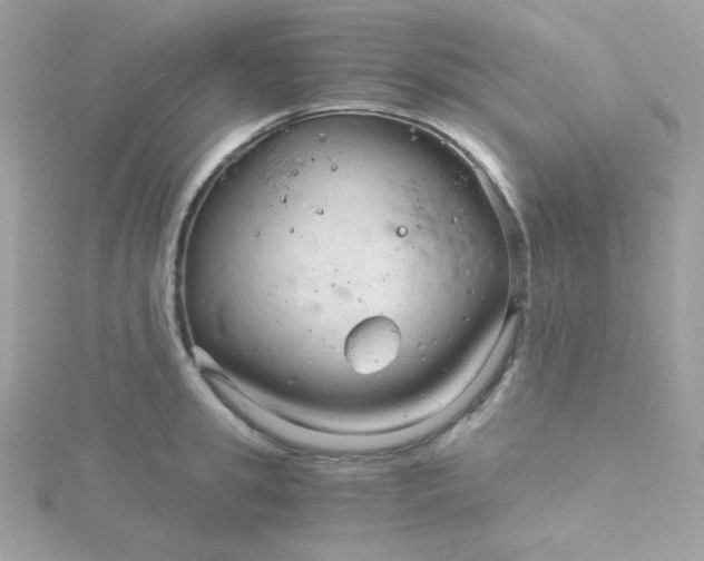 X0000115820949200911271134