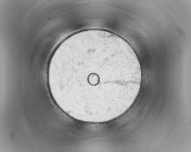 X0000115820950200911271134