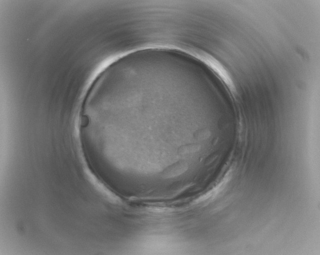 X0000115820958200911271134