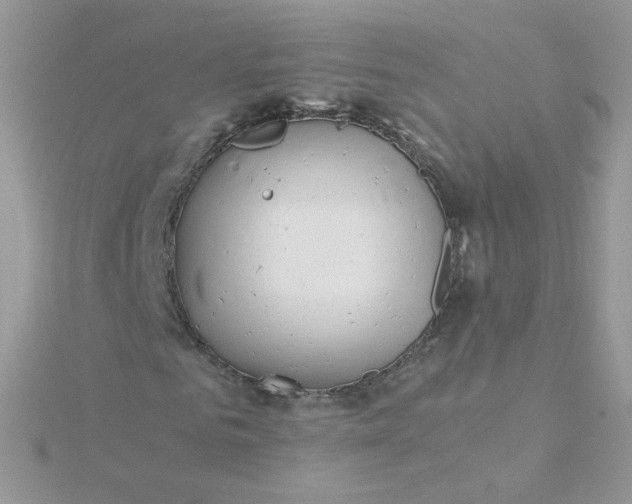 X0000115820961200911271134