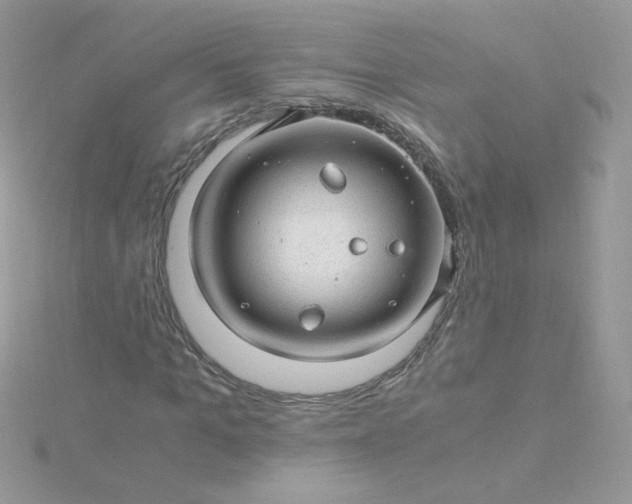 X0000115820965200911271134