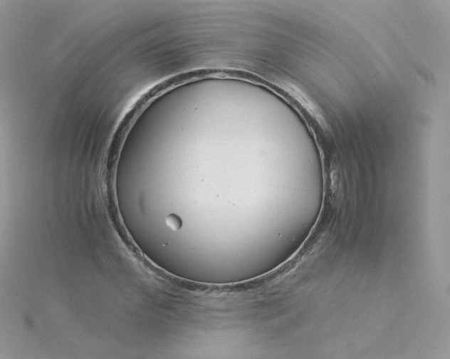 X0000115820972200911271134