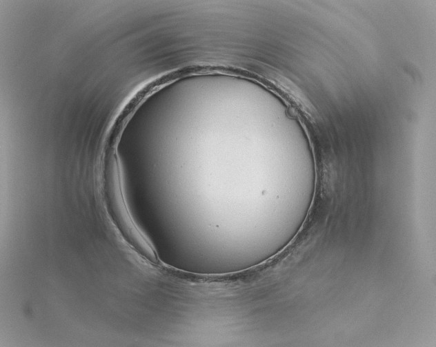 X0000115820976200911271134