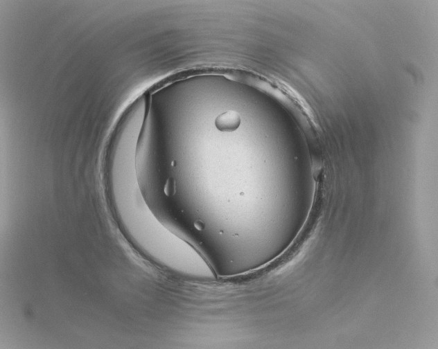 X0000115820981200911271134