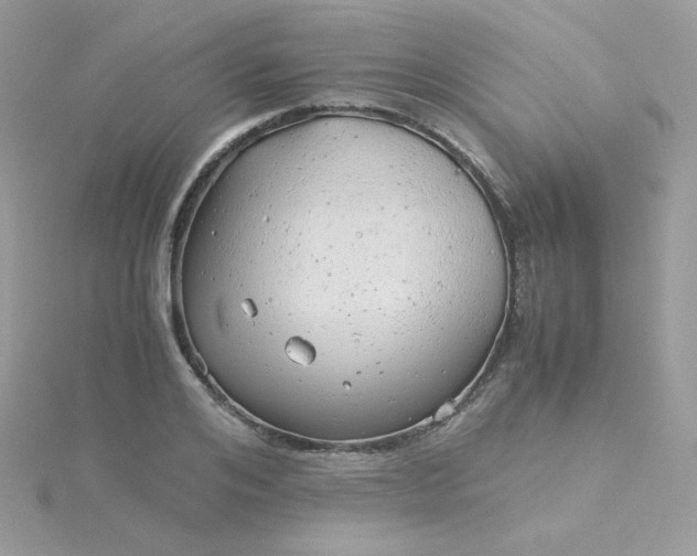 X0000115820984200911271134