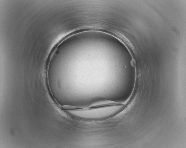 X0000115820989200911271133