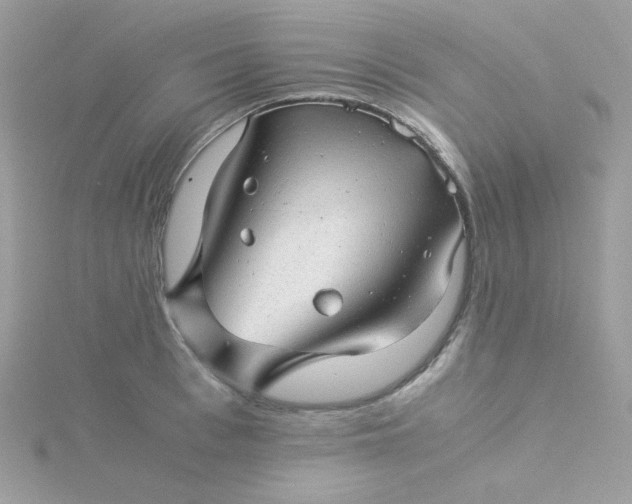 X0000115820993200911271133