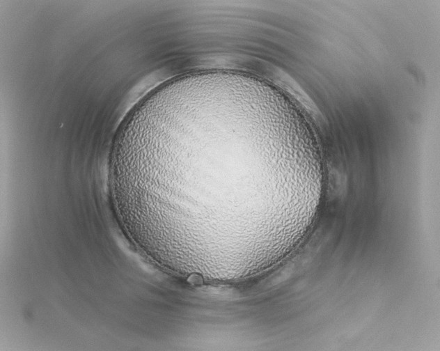 X0000115820994200911271133