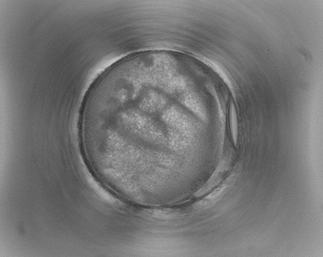 X0000115820995200911271133