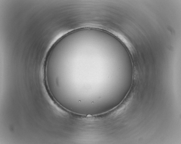 X0000115820999200911271133