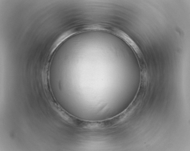 X0000115821002200911271133