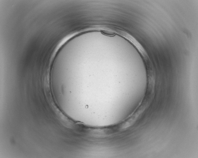 X0000115821004200911271133