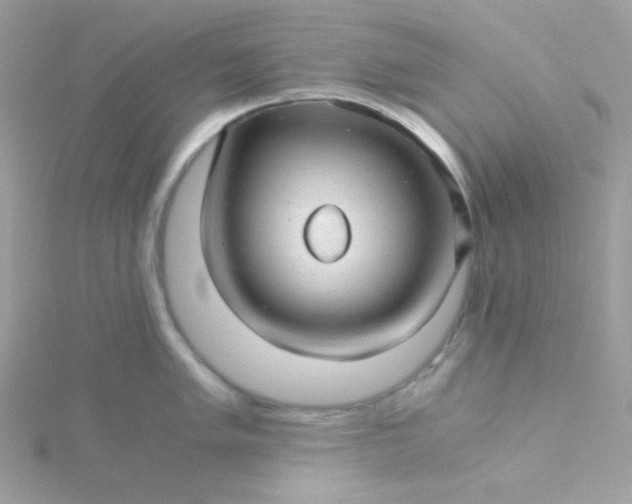 X0000115821005200911271133