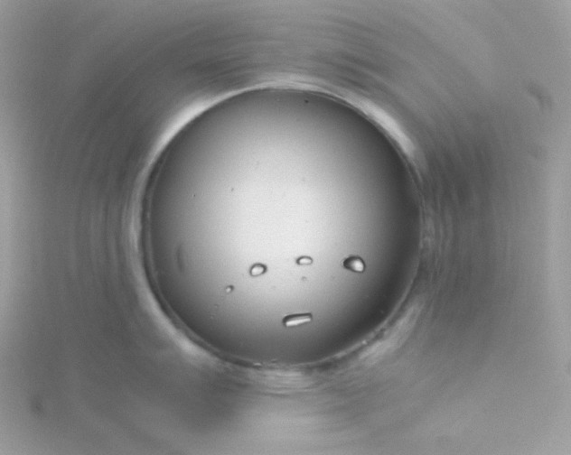 X0000115821007200911271133