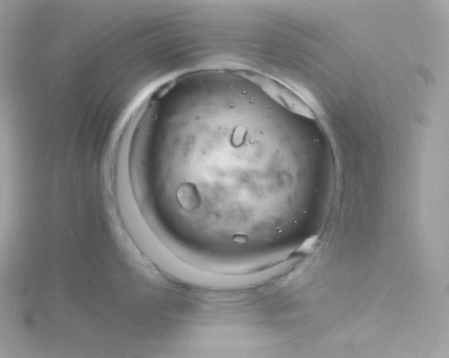 X0000115821008200911271133