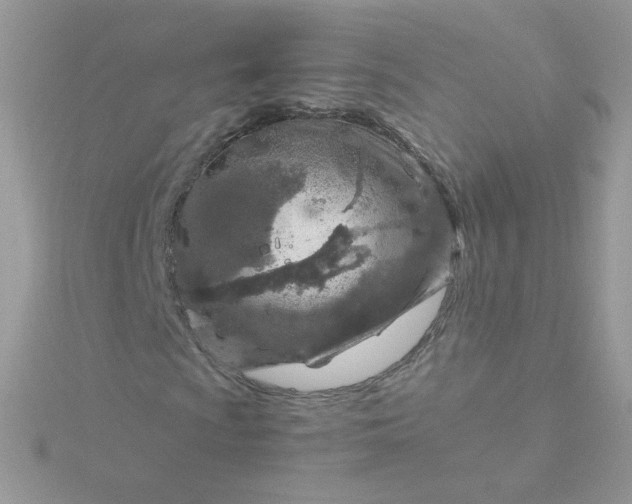 X0000115821009200911271133