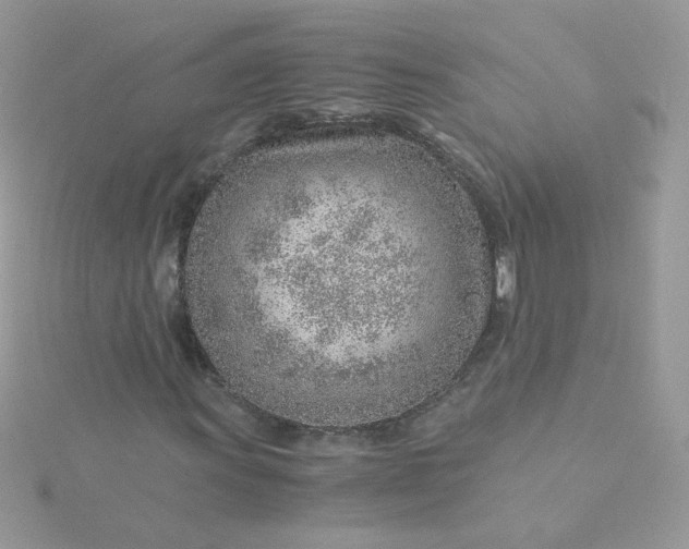 X0000115821011200911271133