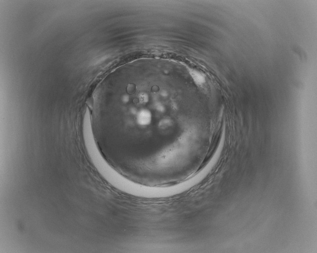 X0000115821013200911271133