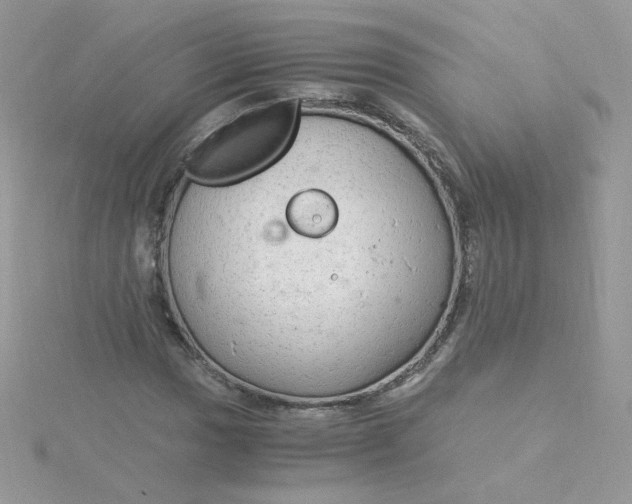 X0000115821017200911271133