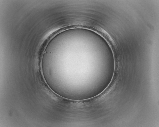 X0000115821019200911271133