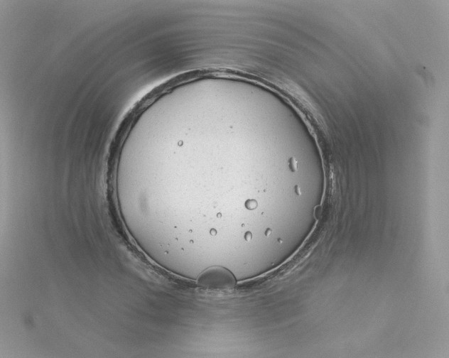 X0000115821020200911271133