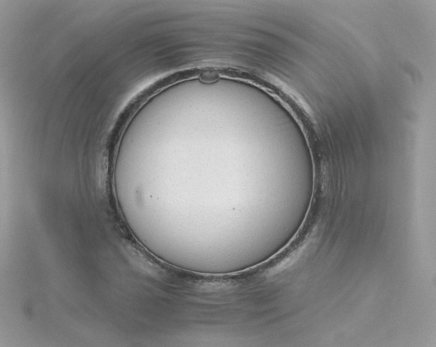 X0000115821021200911271133