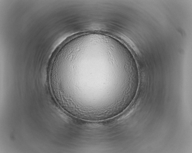 X0000115821023200911271133