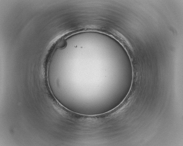 X0000115821027200911271133