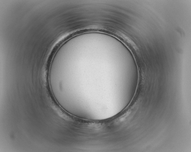 X0000115821029200911271133