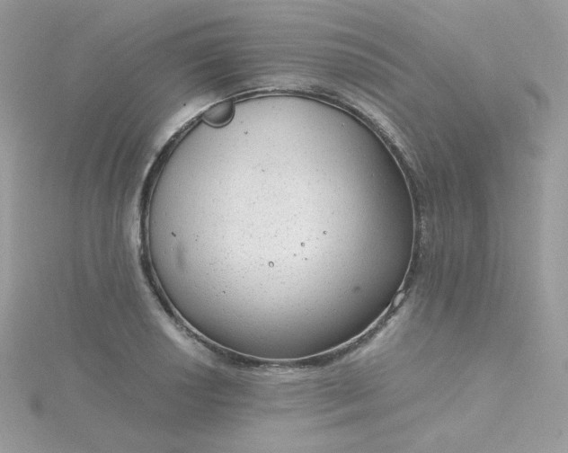 X0000115821034200911271133