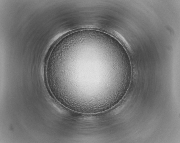 X0000115821035200911271133