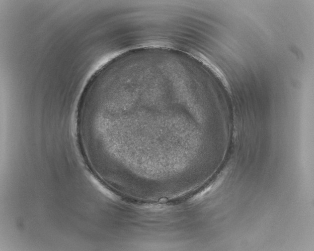 X0000115821037200911271133