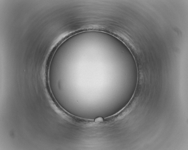 X0000115821038200911271133