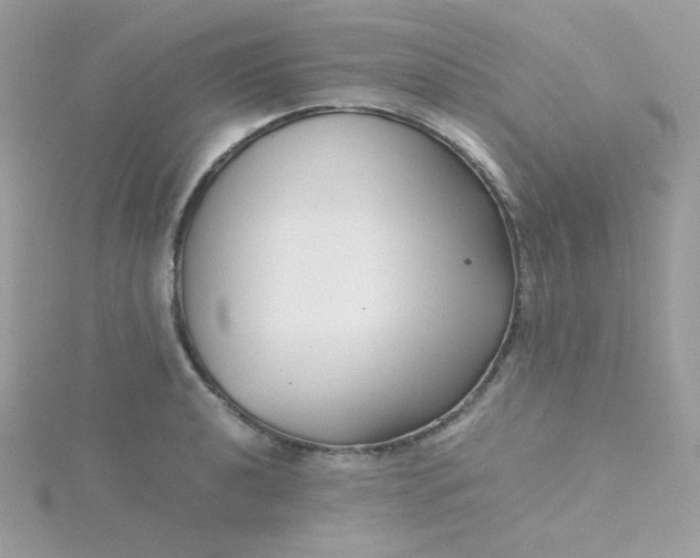 X0000115821040200911271133